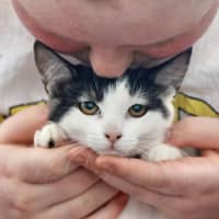 Photo of 🩶Apprentice And Arisaka🧡