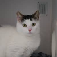 Photo of Midori