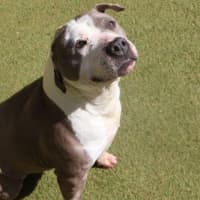 Photo of Lexi