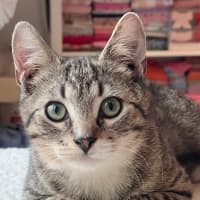 Photo of Teddy