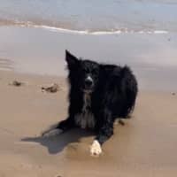 Photo of Bentley