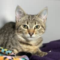 Photo of Mary Kate