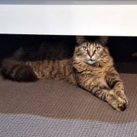 Photo of Celia Sta013621