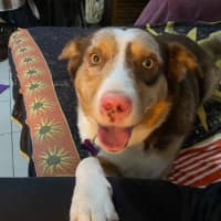 Photo of Bella