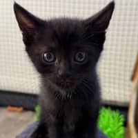 Photo of Wiley