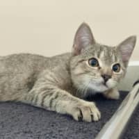 Photo of Roxy