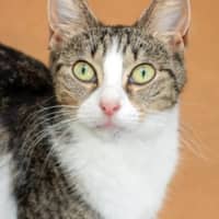 Photo of Sora