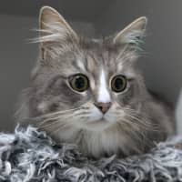 Photo of 🪁 Miles 5361  🪁