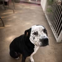 Photo of Zeus