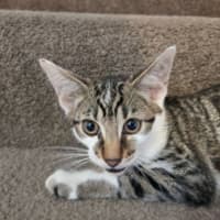 Photo of Bequin & Snorkel