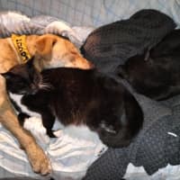 Photo of Theodorable