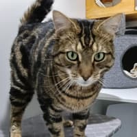 Photo of Tom
