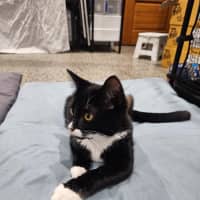 Photo of Daisy