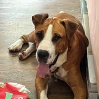 Photo of Boof ** A Divine Boy **