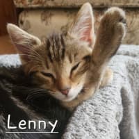 Photo of Lenny