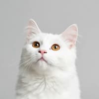 Photo of Yuki
