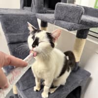 Photo of Minou (Was Little Girl)