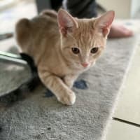 Photo of Cheezel & Milo