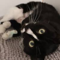 Photo of Marceline