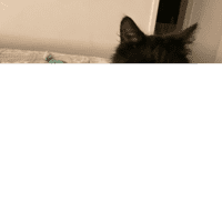 Photo of Susu