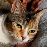 Photo of Rosie