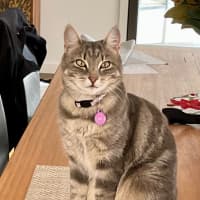 Photo of Lexi & Cara