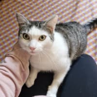 Photo of Tabitha