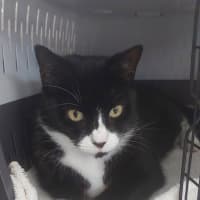 Photo of Susie