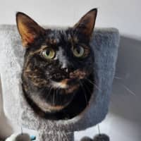 Photo of Bonnie