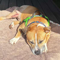 Photo of Coco