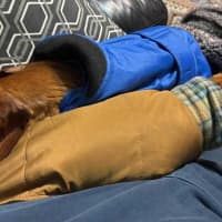 Photo of Evie And Ella