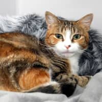 Photo of Nora Rsta013004