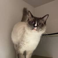 Photo of Maurice