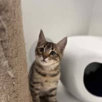 Photo of Tez Nee Sammy