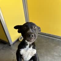Photo of Ulysses 