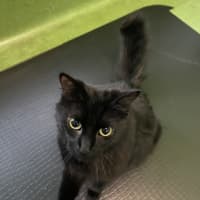 Photo of Zachary Binks