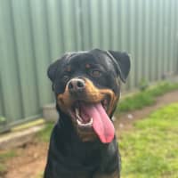 Photo of Max