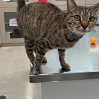 Photo of Louise (9123)