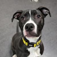Photo of Leila