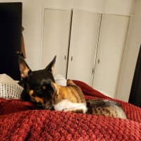 Photo of Astral
