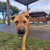 Photo of Wilma