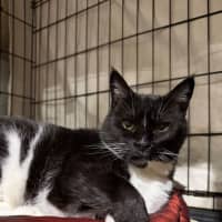 Photo of Esmeralda