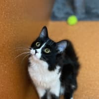 Photo of Winnie 