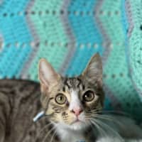 Photo of Terence