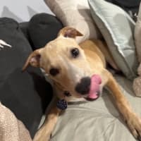 Photo of Kiki