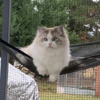 Photo of Sullivan And Theodore