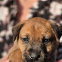 Photo of Spud