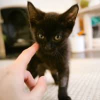 Photo of Jelly
