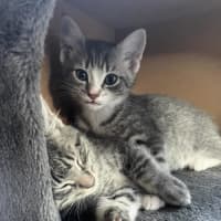 Photo of Lily   Located In Bentleigh East