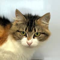 Photo of Miney Sta013249